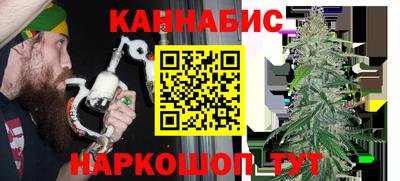 гидра Будённовск